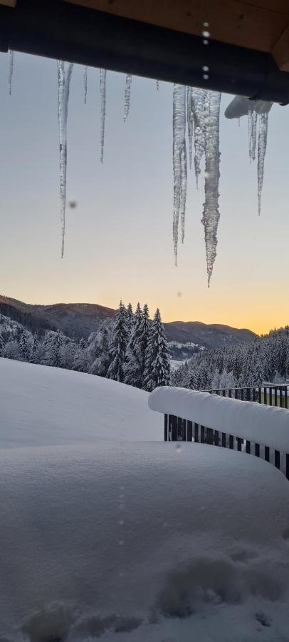Penthouse Skyview Im Natur-Erlebnispark Bad Kleinkirchheim Patergassen Εξωτερικό φωτογραφία